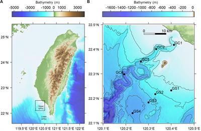 Species and Functional Diversity of Deep-Sea Nematodes in a High Energy Submarine Canyon